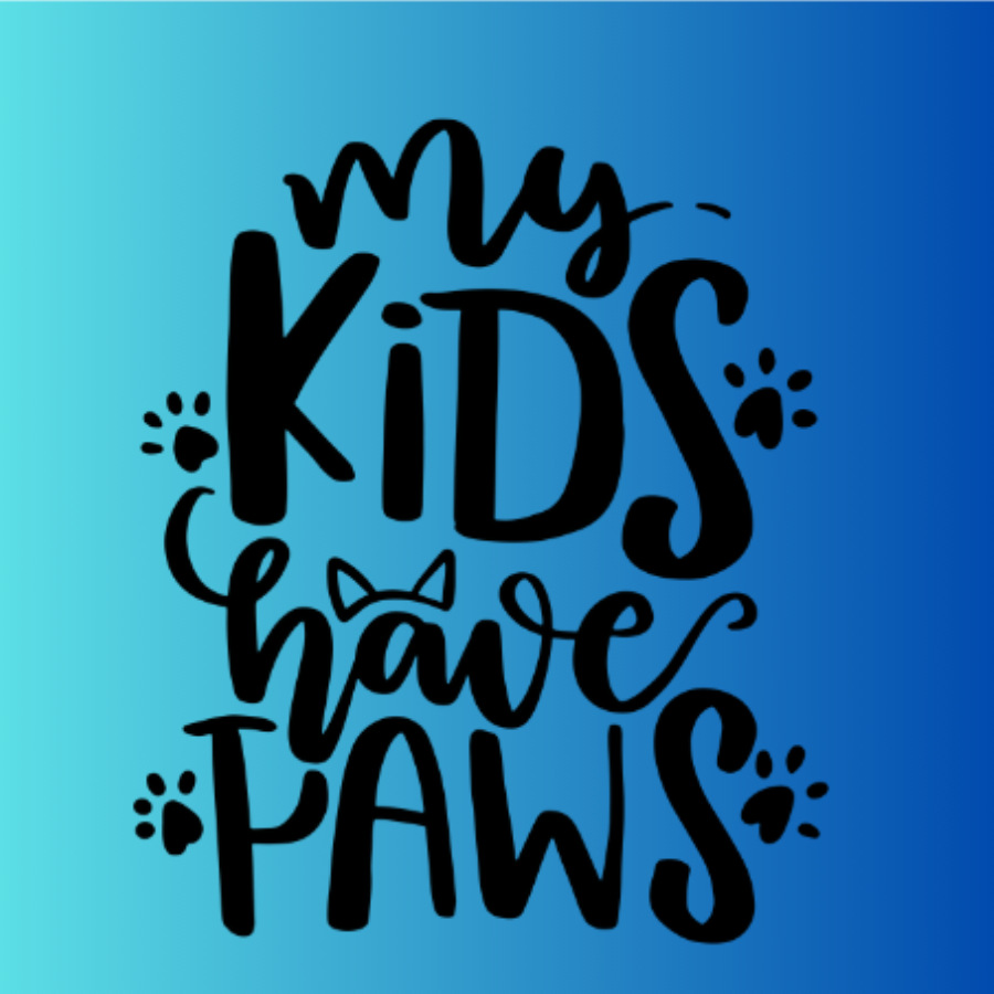 Square Magnets (3 x 3)