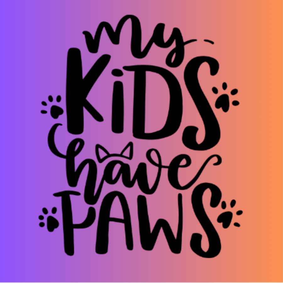 Square Magnets (3 x 3)